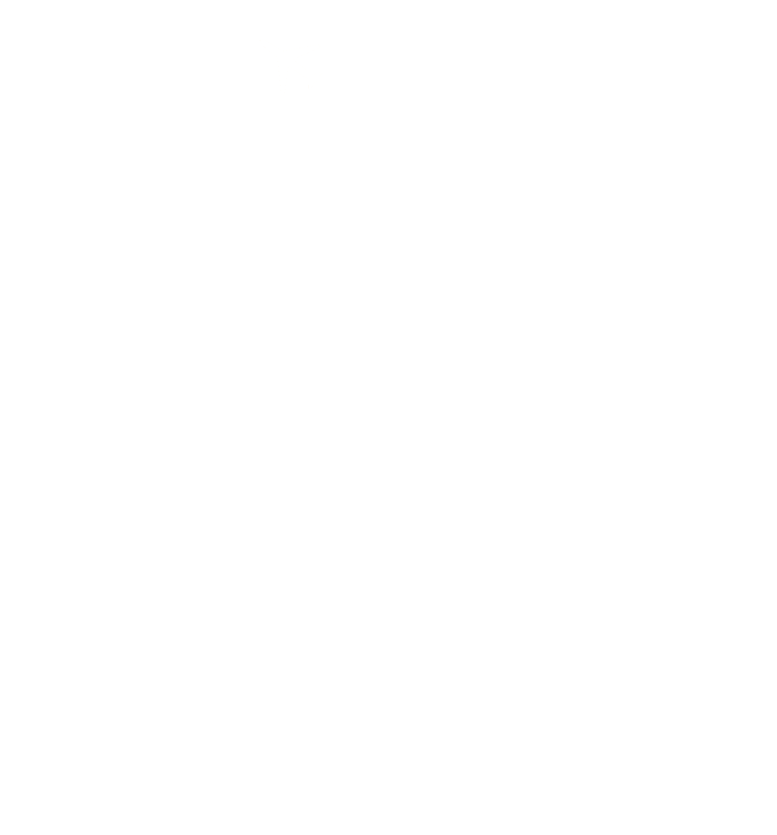 VATSIM Saudi Arabia Logo